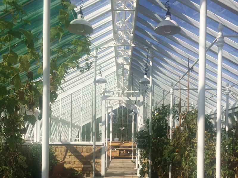 New Clear-Span Glasshouse